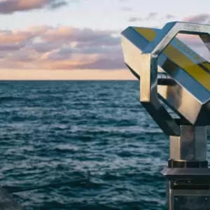 What is Search Network with Display Select